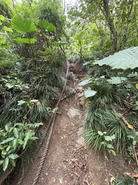 20251129女仍山步道2951772