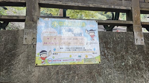 小中嵙登山步道頂中嵙山O形2385037