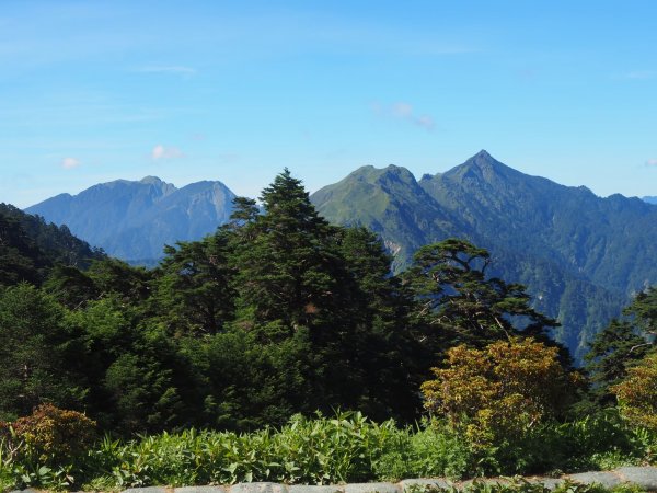 奇萊南華高峰之旅兩天一夜⛰️最受歡迎的新手百岳🏘️1833350