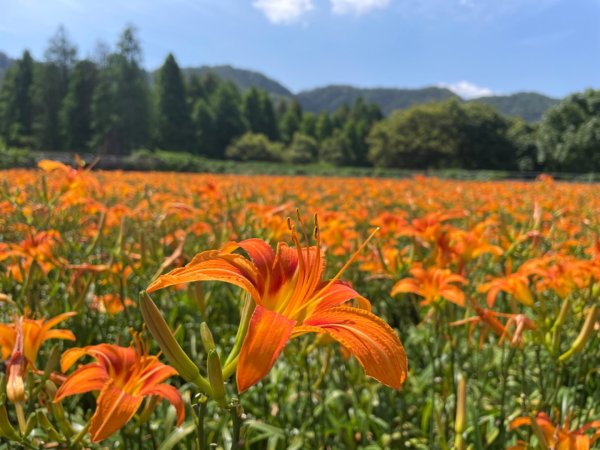 頭社活盆地2691012