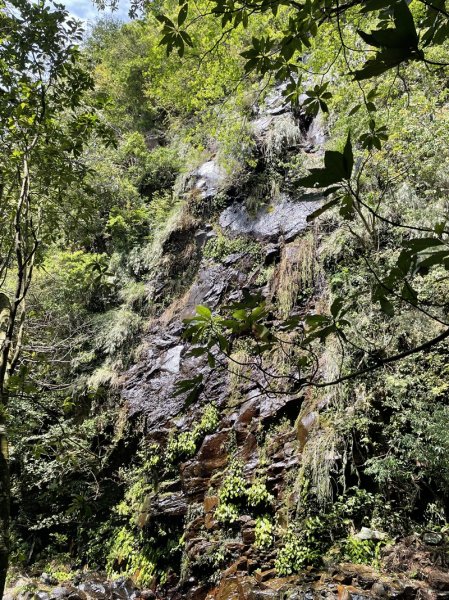 小觀音山清玉線2756615