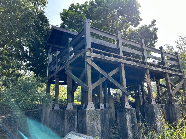 龍過脈森林步道2969789