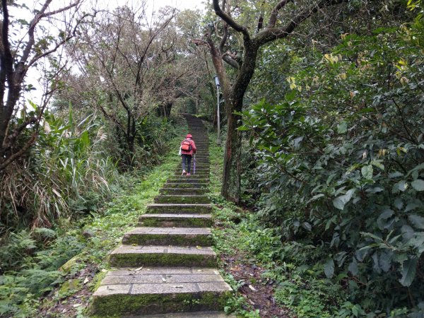 汐止大尖山O型路線(4座山頭+1個瀑布)808117