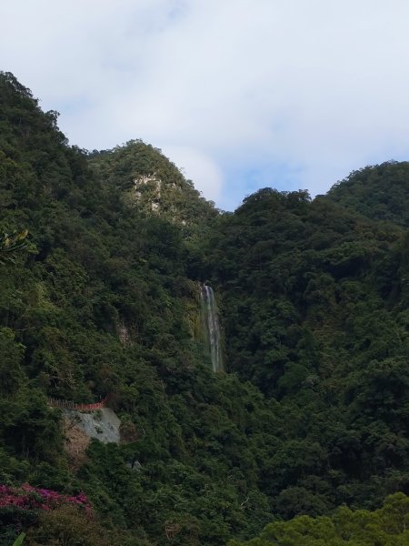 朝聖抹茶山2949476