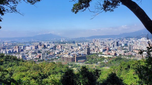 台北大縱走第五段1729255