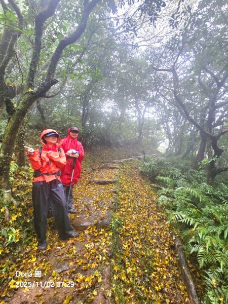 陽明東缺西縱走五連峰+小油坑山(H834m)2928969