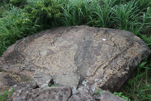 小百岳NO12  汐止大尖山 縱走海拔641公尺 四分子尾山2228976