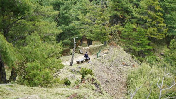 20180420鹿林山 麟趾山1495685