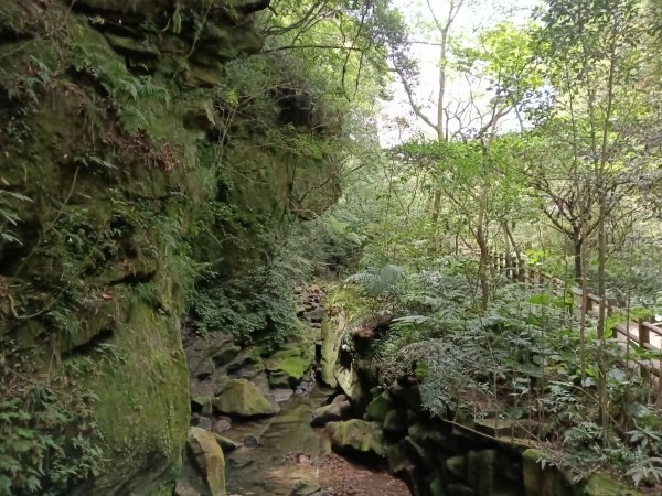 基隆市暖東峽谷大環步道+大菁農場+暖東峽谷小環步道(大O+小O)2832662