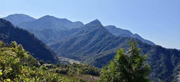 2025/01/30_白冷山步道2702105