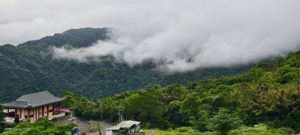 #陽明山 #琉璃光 #紅斑蛇 #新店四十份 #雲瀑 #翡翠水庫壩頂 #日出 #雲海 4/16&183037719
