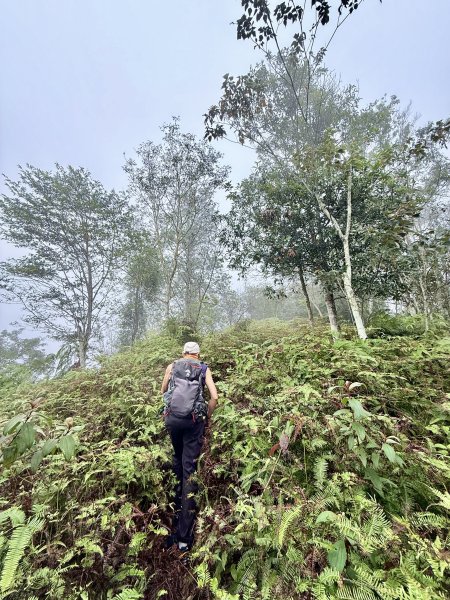 埔里撿基石-西關刀山西峰(貓頭山).牛眠山.三角嶺山(東南峰)  2024.12.142669901