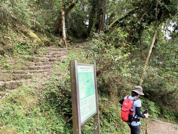 納涼去～頂湖上大凍山 20190622621399