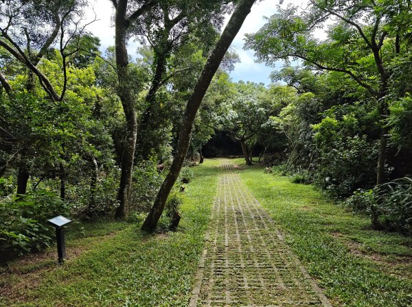 [百山百鳥尋旅-02/15] 2025_0809 社頂自然公園步道2857216