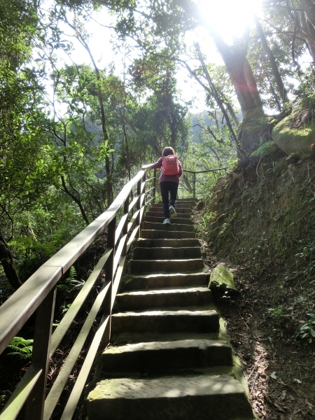 白石湖．碧山巖．鯉魚山．大溝溪．圓覺寺93129