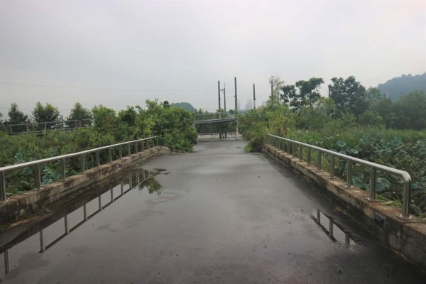 小百岳NO.14 深坑土庫岳。更寮古道 山豬窟尖，小南港山，南港山水綠生態公園2258399