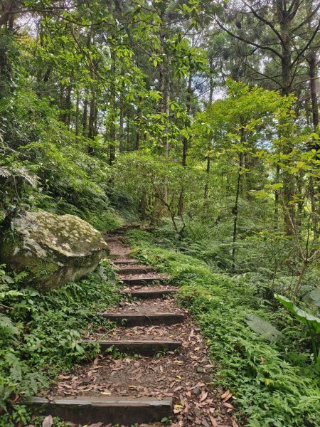 桃園市-東眼山3053958