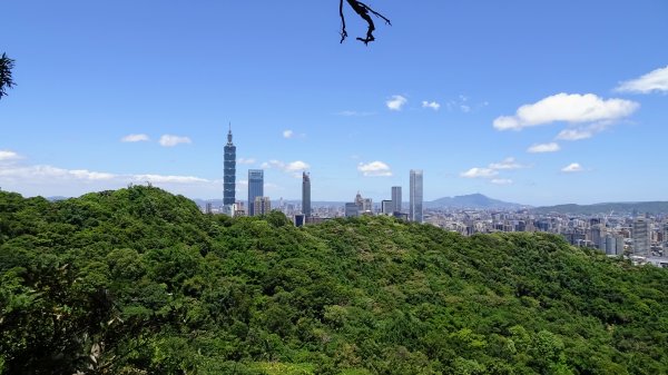 虎山環型步道2220070