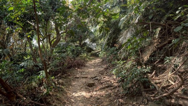 崁頭山步道3002469