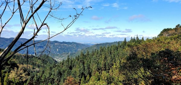 【中級山縱走 】向天湖山，三角湖山，光天高山2742275