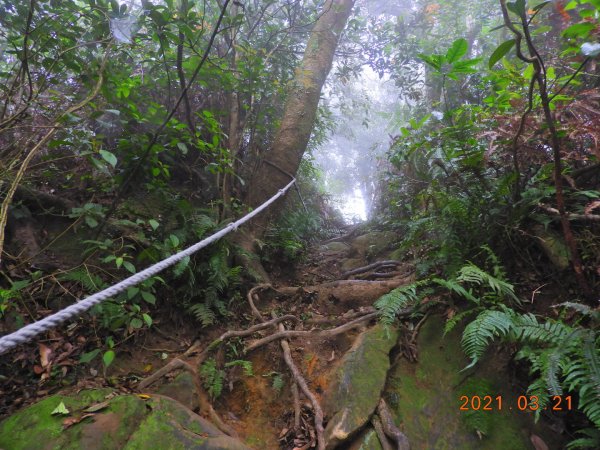 桃園 大溪 金面山、金山面山1315384