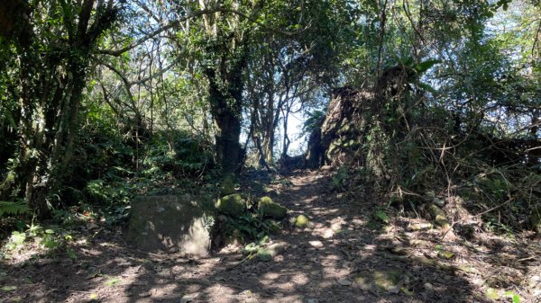 樟之細路-聖關段2686814