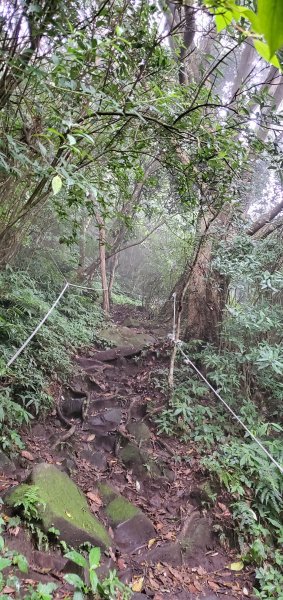 2021-05-08觀音山(北橫古道)1380090