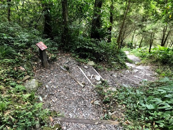 聖母登山步道上三角崙山381355