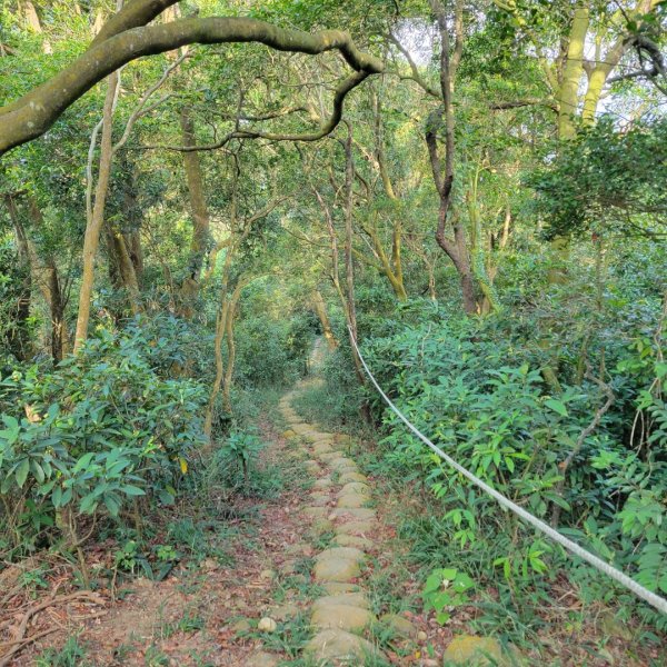 挑炭古道（三通嶺古道）1871368