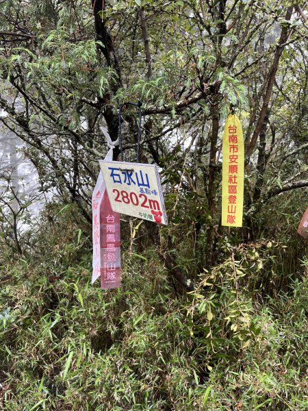 鹿林山-鹿林前山-真鹿林山-石水山-石水山基點峰 2025.5.252798432