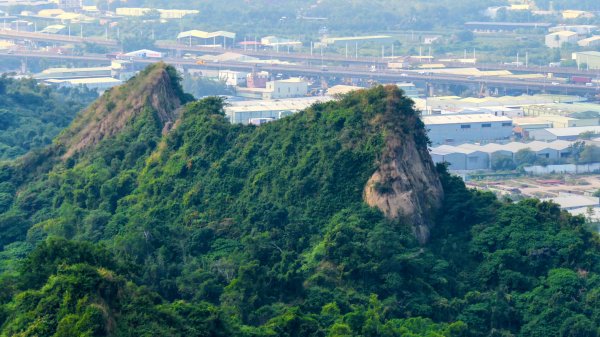 大社觀音山2954776