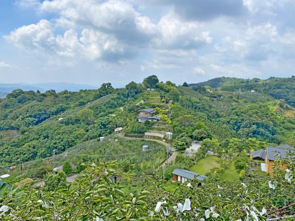 大雪山悠遊順撿基石1085390