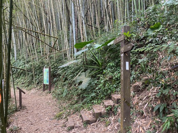 1120329奮瑞古道2643538