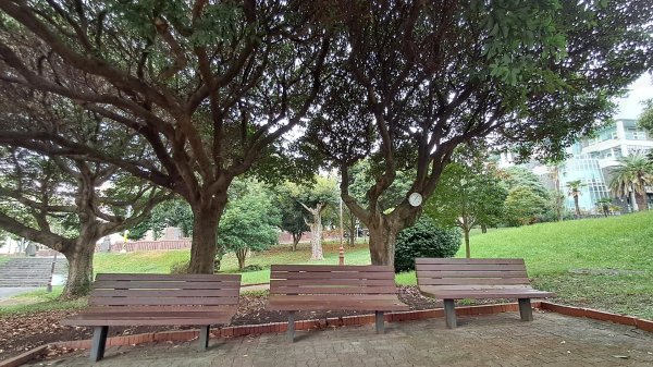 偶來小路走走2942591