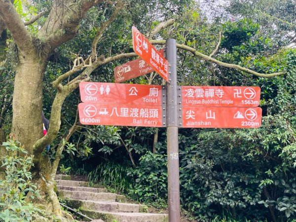 1140302硬漢嶺O繞2724067