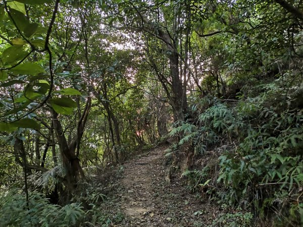 [百山百鳥尋旅-13/15] 2025_0929 圓覺寺步道2900789