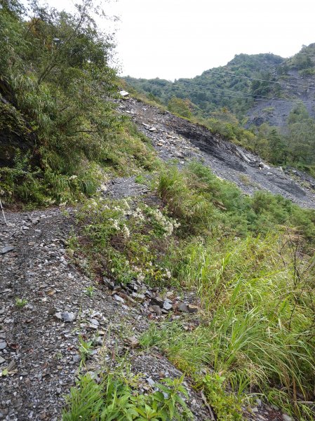 奇萊南華百岳之旅442281