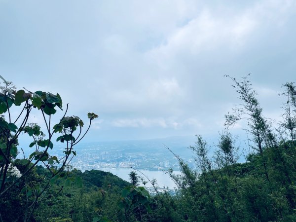 20260419 觀音山硬漢嶺步道+楓櫃斗湖步道（小百岳#5）3050810