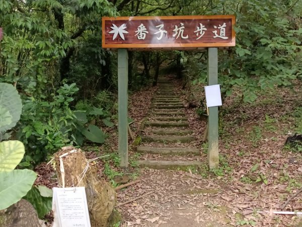 平溪區三功大厝+番子坑山+千階嶺步道O型2781199