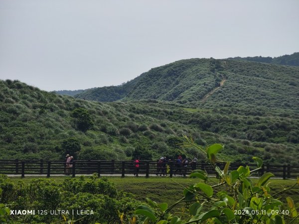 陽明山東西大縱走2610114