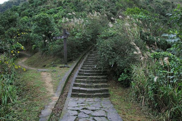 基隆山主支線O型315569