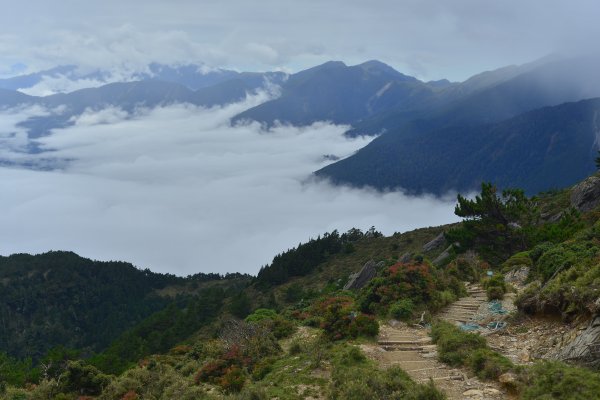 向陽山｜三叉山｜嘉明湖2325020