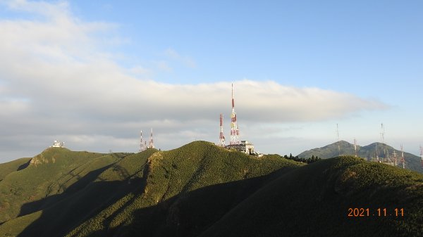 秋高氣爽芒花季再度陽明山天際線-七星山主東峰+大屯山主南西峰向天面天山O型+小觀音山主西南峰共10峰1511249