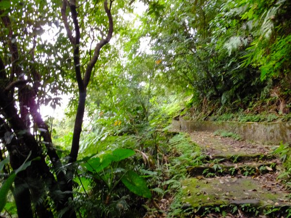 小山美學：新店小獅山步道886792