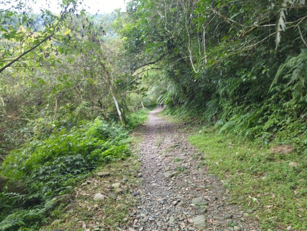 2025.01.10－松羅國家步道2981171