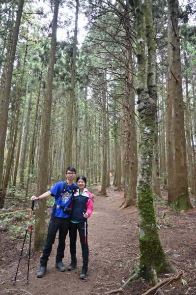 中級山-高島縱走2888395