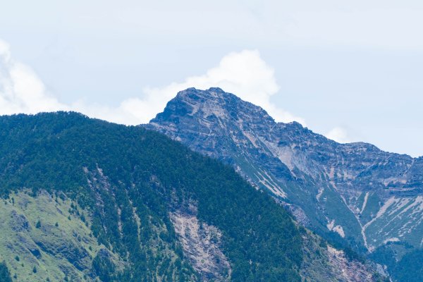 【鹿林山、麟趾山】夏日享受天然冷氣，散步欣賞玉山群峰和阿里山山脈2558786