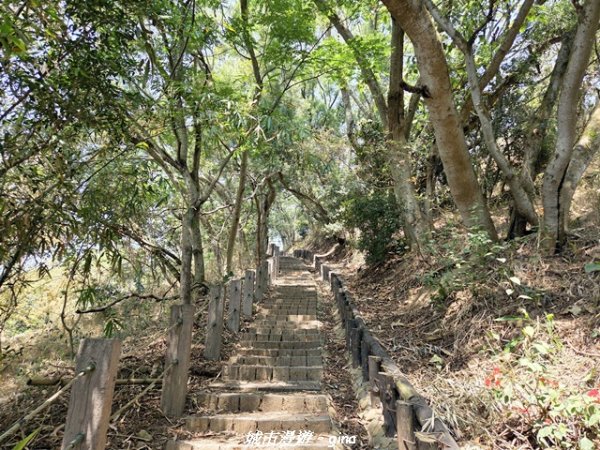 【台中大肚】大肚萬里長城登山步道3023841