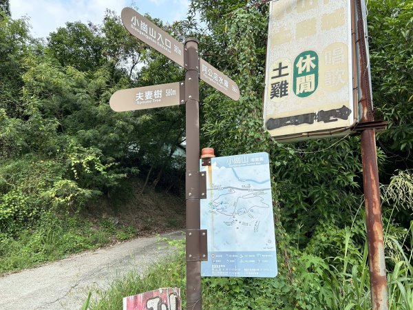 小崗山健行步道2909434