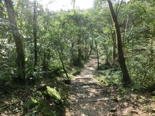 姜子寮山．泰安瀑布．鐵道公園105881